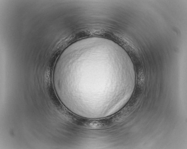 X0000115160506200911171304