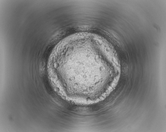 X0000115160507200911171304