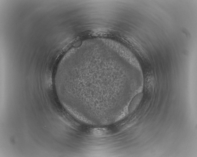 X0000115160508200911171304