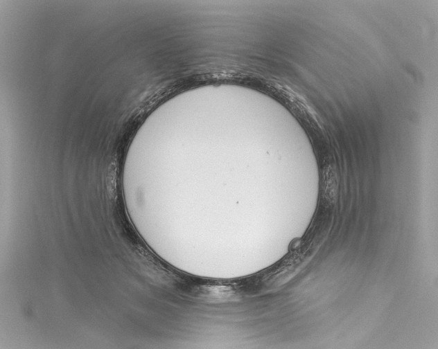 X0000115160509200911171304