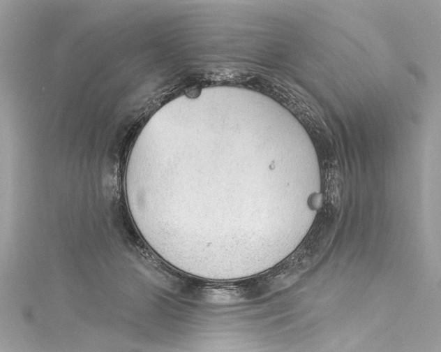 X0000115160510200911171304