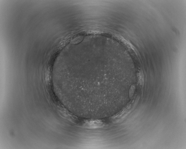 X0000115160517200911171304