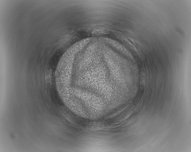 X0000115160519200911171304