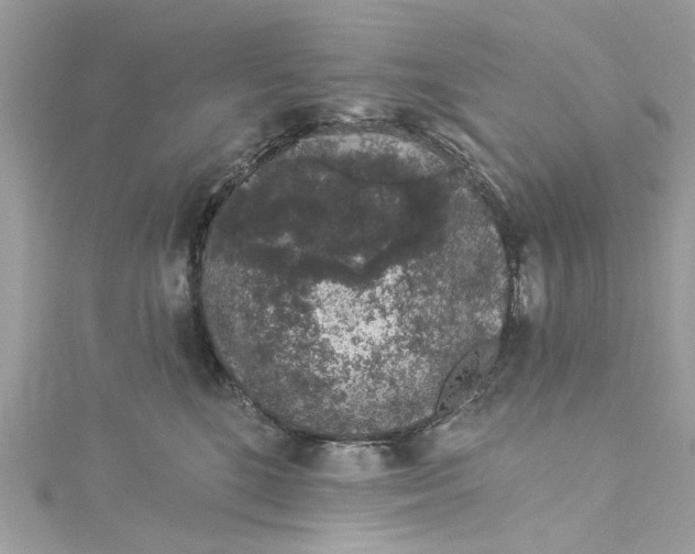 X0000115160520200911171304