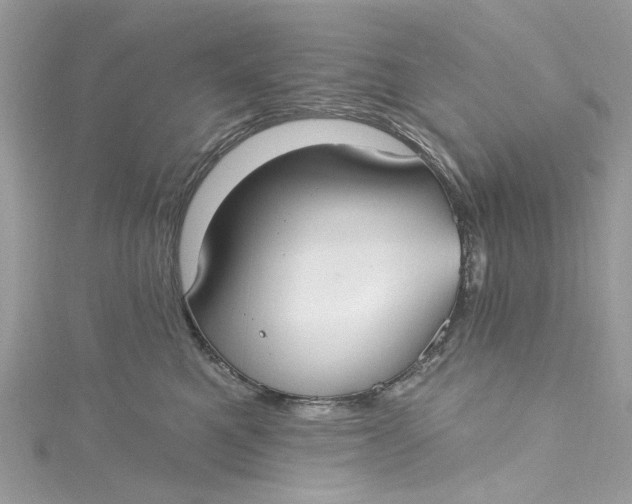 X0000115160521200911171304