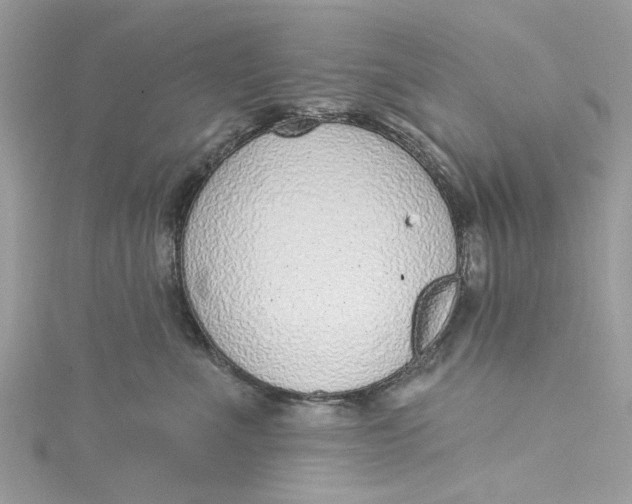 X0000115160523200911171304