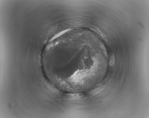 X0000115160524200911171304