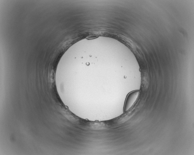 X0000115160525200911171304