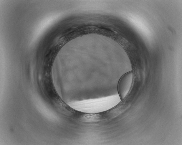 X0000115160526200911171304