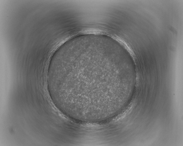 X0000115160529200911171303