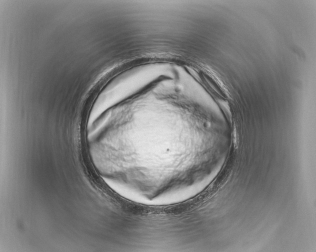 X0000115160531200911171303