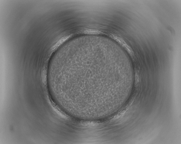 X0000115160533200911171303