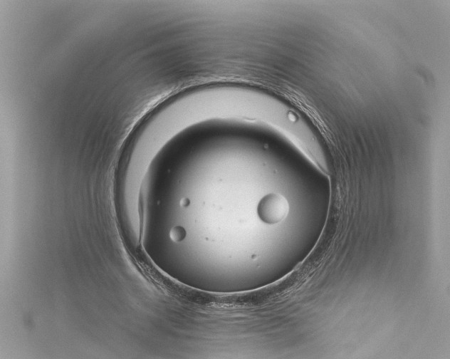 X0000115160534200911171303