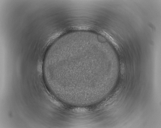 X0000115160537200911171303