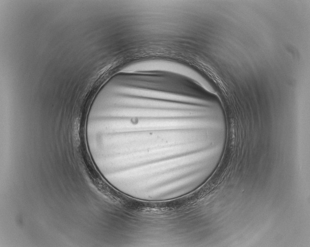 X0000115160538200911171303