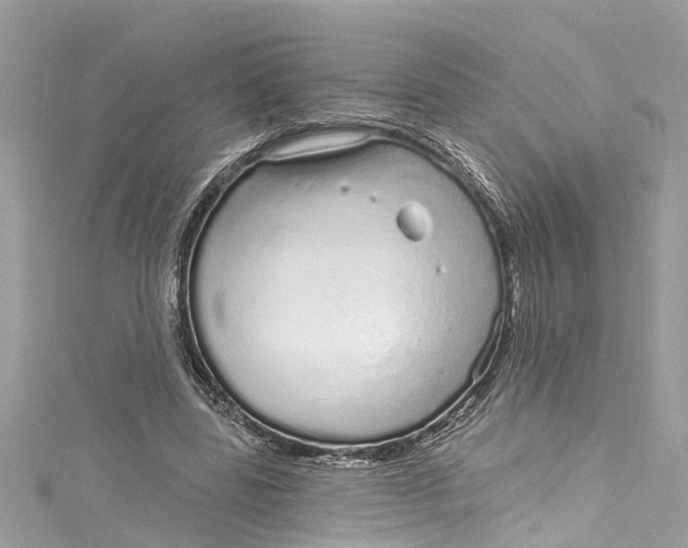 X0000115160539200911171303