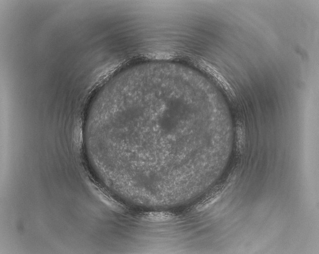 X0000115160541200911171303