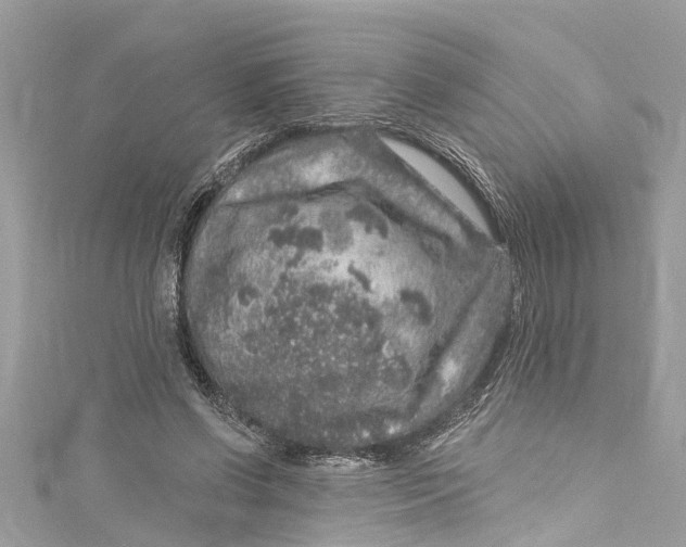 X0000115160542200911171303