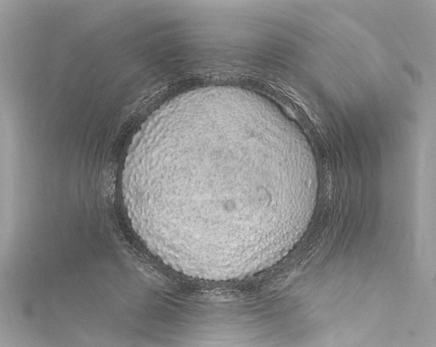 X0000115160545200911171304