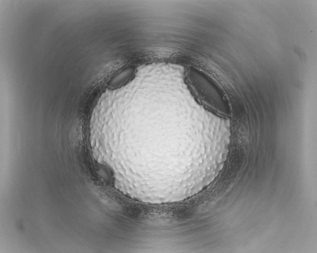 X0000115160546200911171304