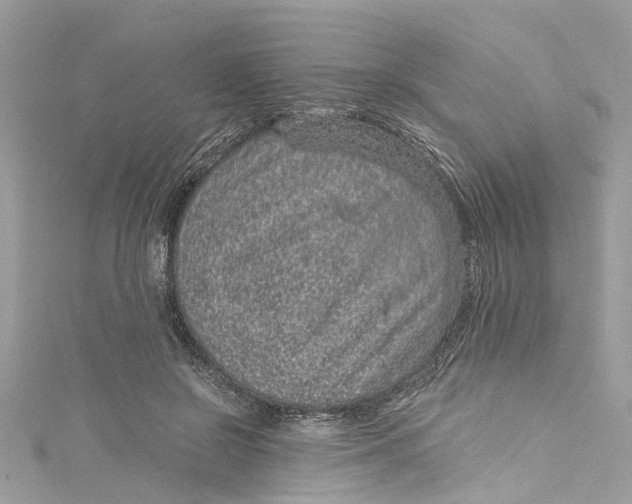 X0000115160550200911171304