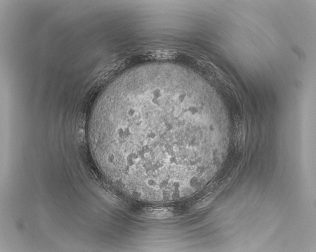 X0000115160553200911171304