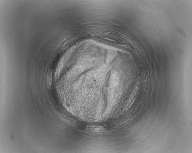 X0000115160554200911171304