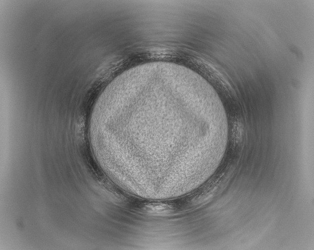 X0000115160557200911171304