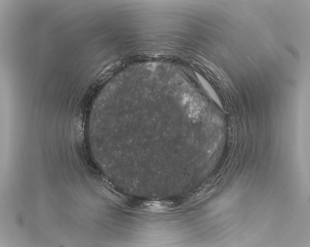 X0000115160558200911171304