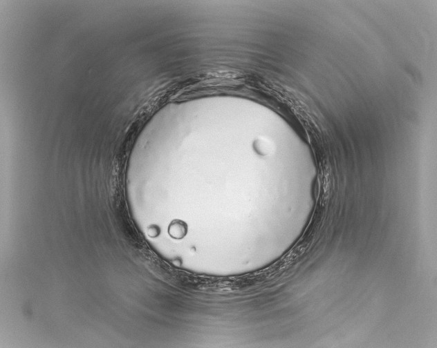 X0000115160559200911171304