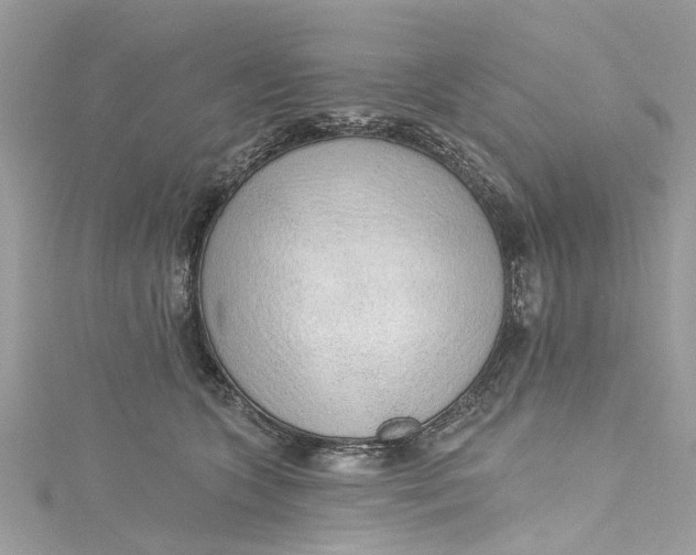 X0000115160563200911171304