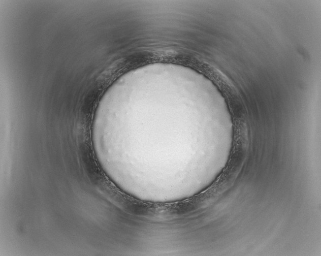 X0000115160565200911171304