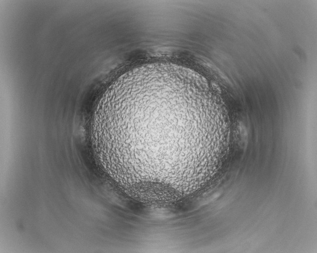 X0000115160566200911171304