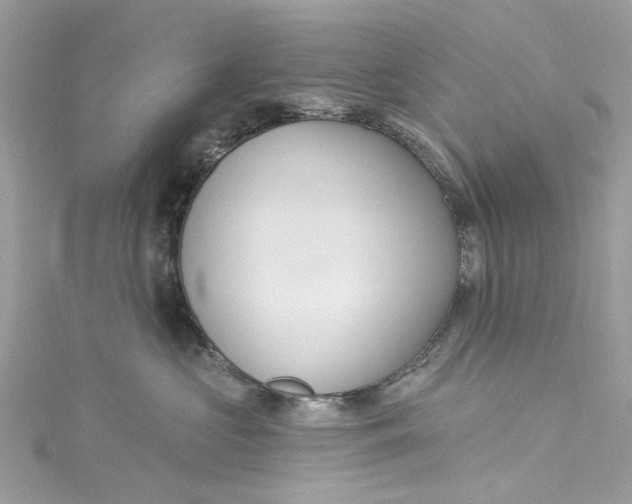 X0000115160573200911171304