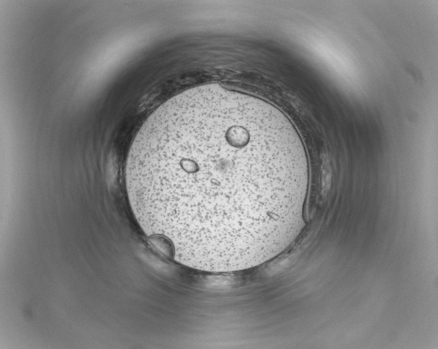 X0000115160574200911171304