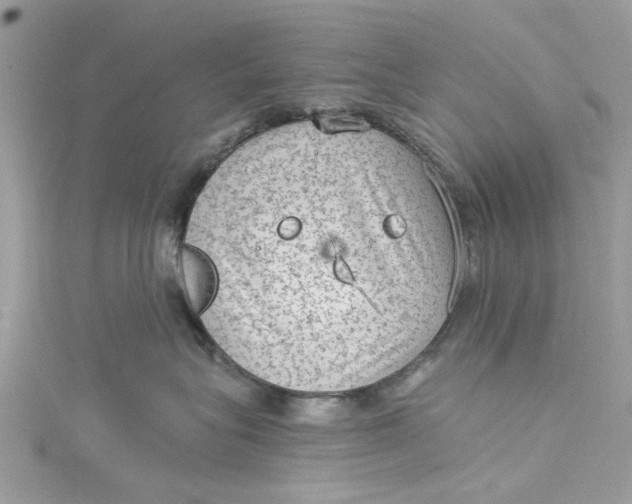 X0000115160575200911171304