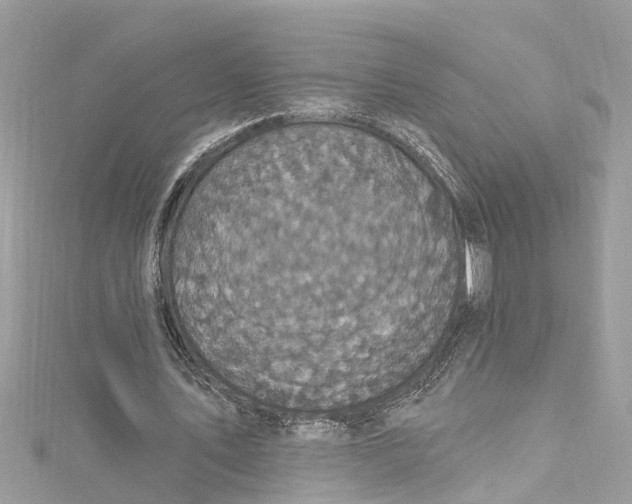 X0000115160579200911171303