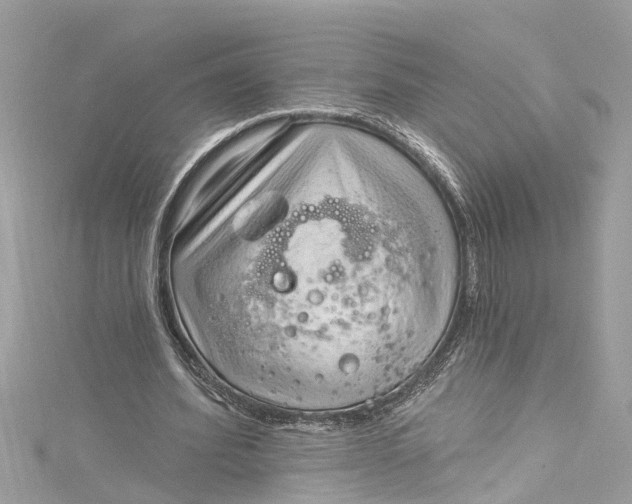 X0000115160580200911171303