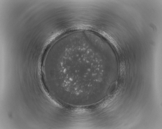 X0000115160581200911171303