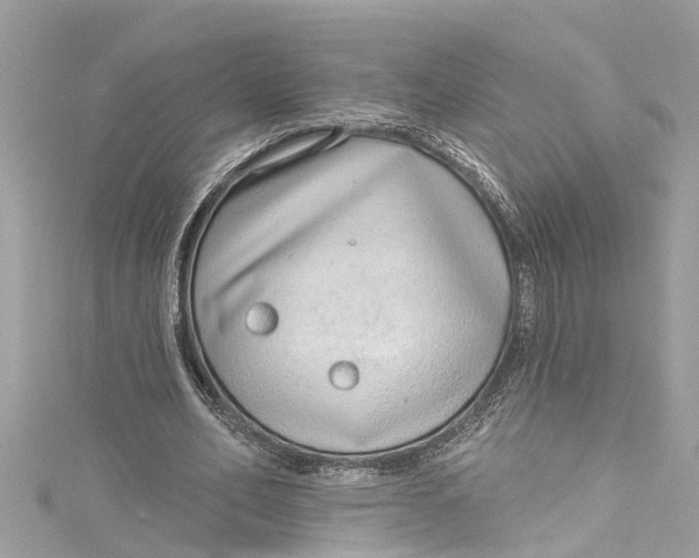 X0000115160582200911171303