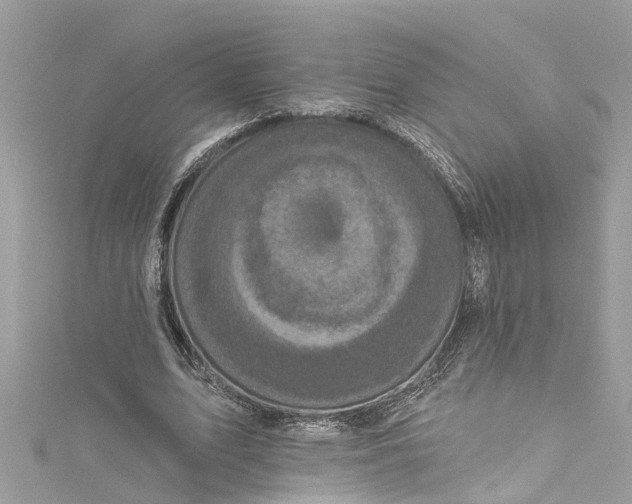 X0000115160583200911171303