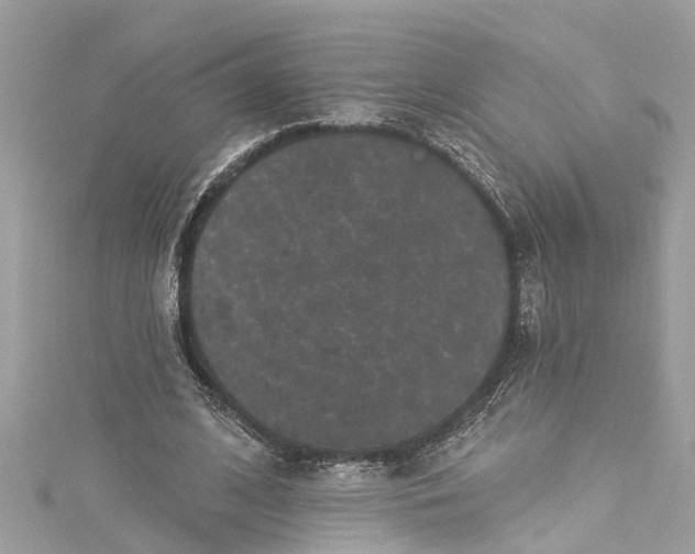 X0000115160584200911171303