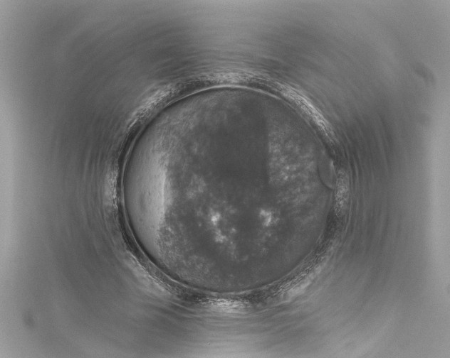 X0000115160585200911171303