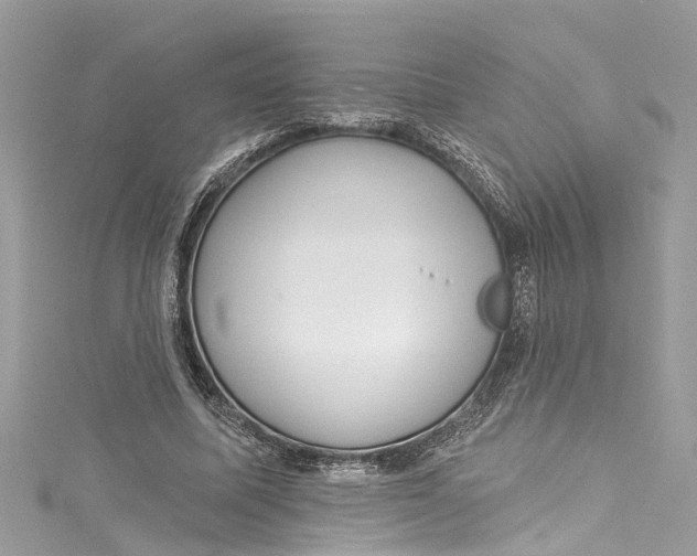 X0000115160587200911171303