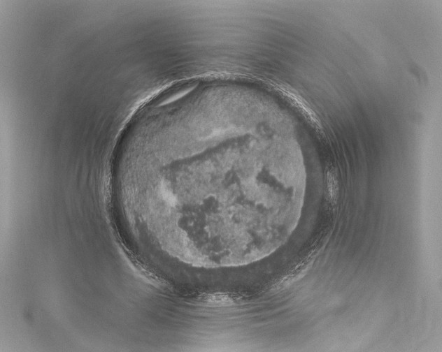 X0000115160588200911171303