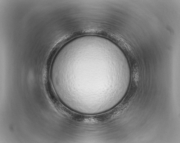 X0000115160591200911171303