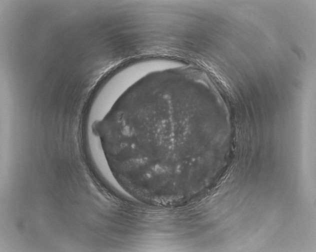 X0000115160592200911171303