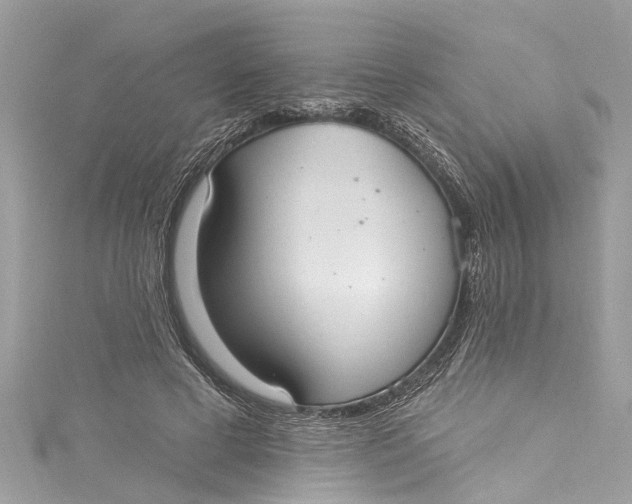 X0000115160593200911171303