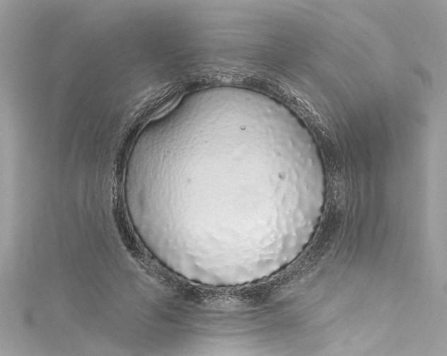 X0000115160594200911171303