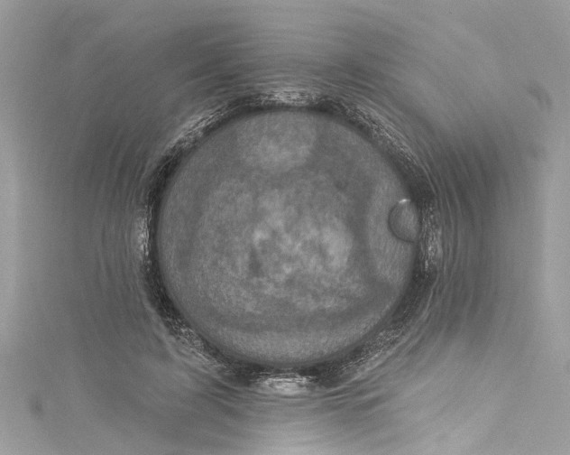 X0000115160595200911171303